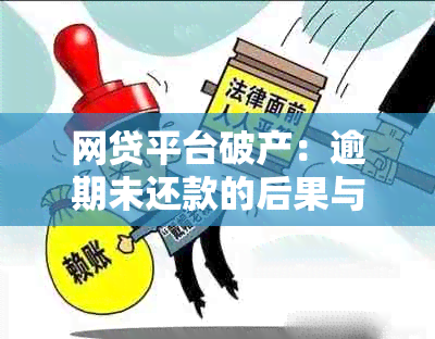 网贷平台破产：逾期未还款的后果与解决策略