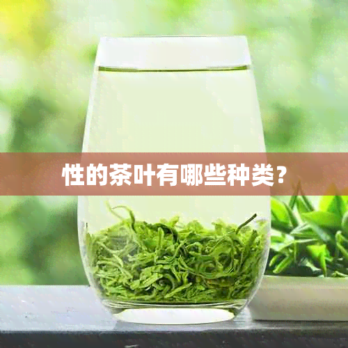 性的茶叶有哪些种类？