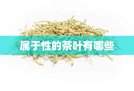 属于性的茶叶有哪些