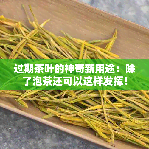 过期茶叶的神奇新用途：除了泡茶还可以这样发挥！