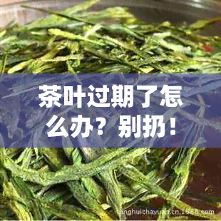 茶叶过期了怎么办？别扔！如何正确处理和利用过期茶叶