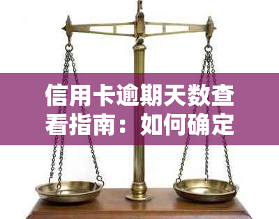 信用卡逾期天数查看指南：如何确定逾期时间并避免罚息