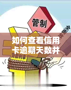 如何查看信用卡逾期天数并进行还款？了解完整的步骤和注意事项