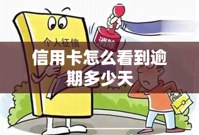 信用卡怎么看到逾期多少天