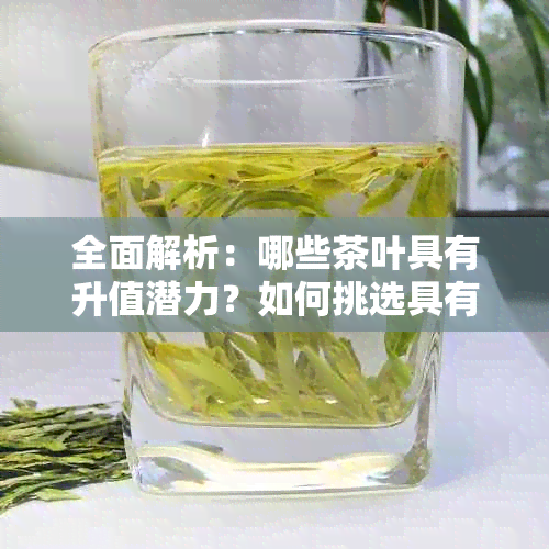 全面解析：哪些茶叶具有升值潜力？如何挑选具有投资价值的茶叶品种？