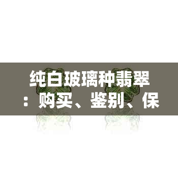 纯白玻璃种翡翠：购买、鉴别、保养及价值全方位解析