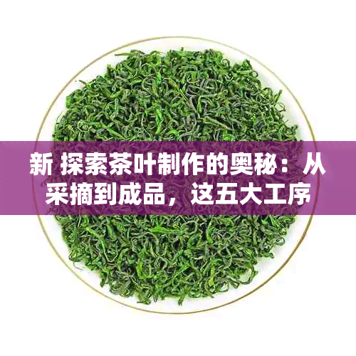 新 探索茶叶制作的奥秘：从采摘到成品，这五大工序必不可少