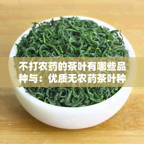 不打农的茶叶有哪些品种与：优质无农茶叶种类推荐