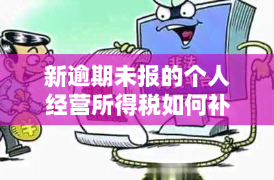 新逾期未报的个人经营所得税如何补缴申报，详细步骤及注意事项