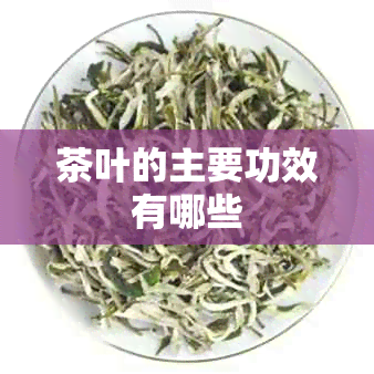 茶叶的主要功效有哪些