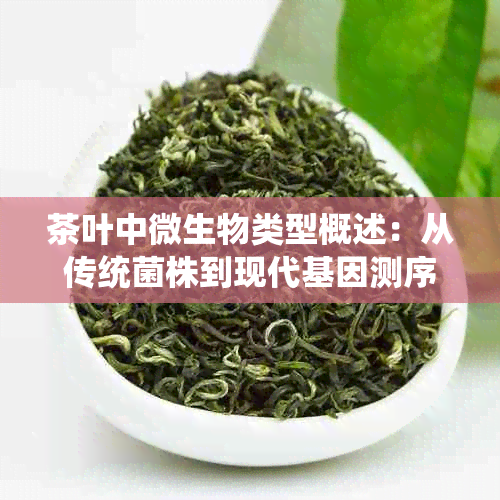 茶叶中微生物类型概述：从传统菌株到现代基因测序技术的应用