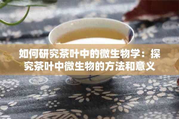 如何研究茶叶中的微生物学：探究茶叶中微生物的方法和意义