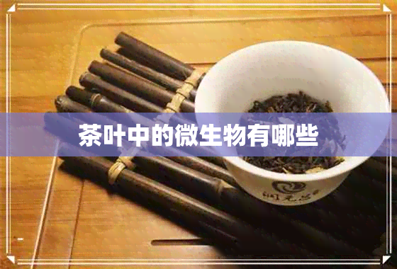 茶叶中的微生物有哪些