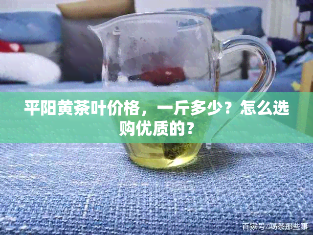 平阳黄茶叶价格，一斤多少？怎么选购优质的？