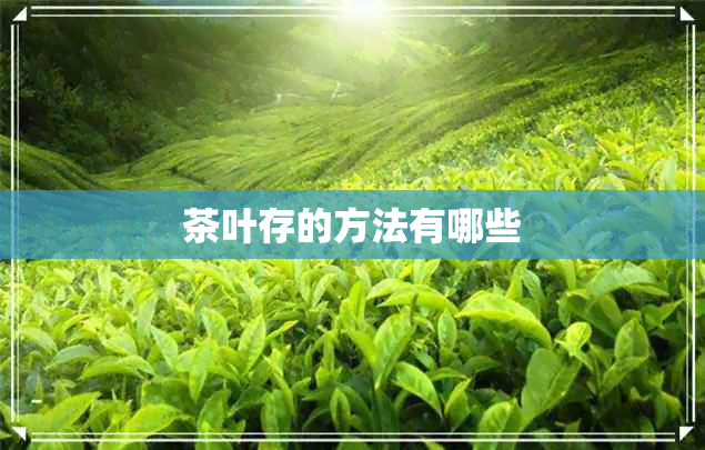 茶叶存的方法有哪些