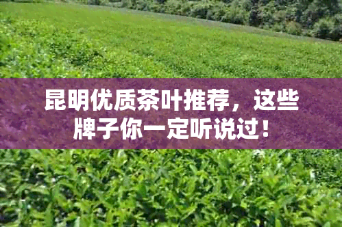 昆明优质茶叶推荐，这些牌子你一定听说过！