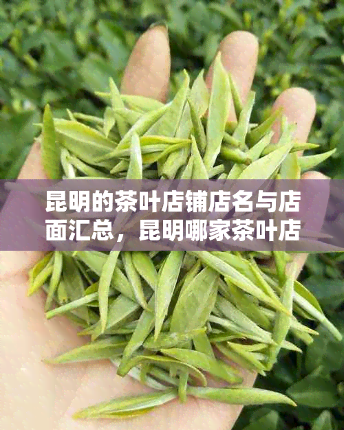 昆明的茶叶店铺店名与店面汇总，昆明哪家茶叶店好，昆明有名的茶