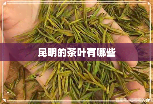 昆明的茶叶有哪些