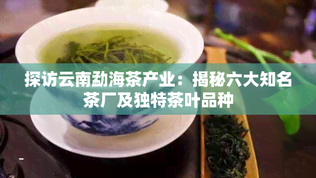 探访云南勐海茶产业：揭秘六大知名茶厂及独特茶叶品种