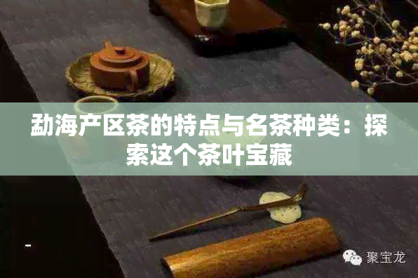 勐海产区茶的特点与名茶种类：探索这个茶叶宝藏