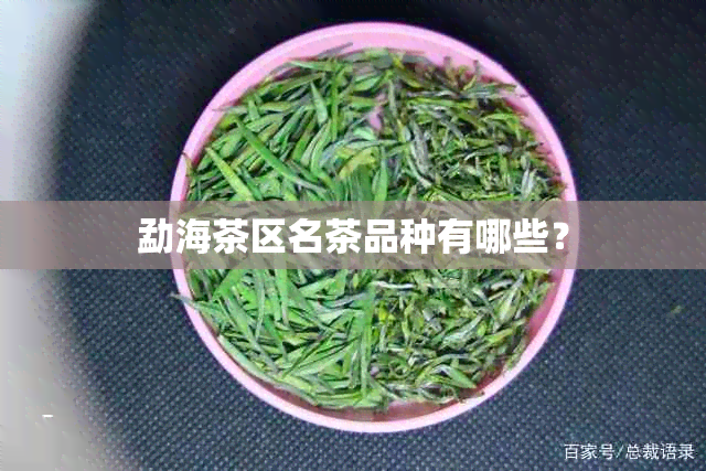 勐海茶区名茶品种有哪些？