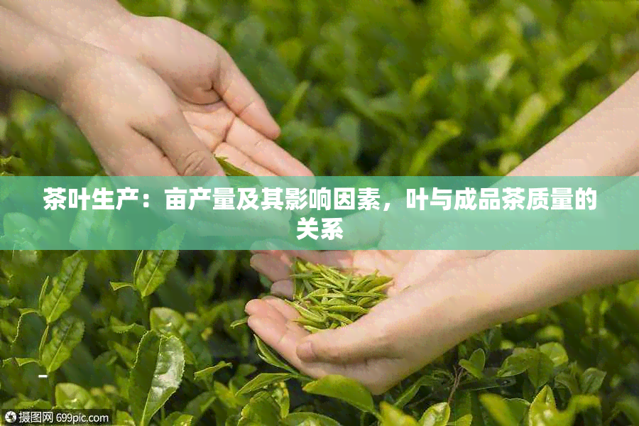 茶叶生产：亩产量及其影响因素，叶与成品茶质量的关系