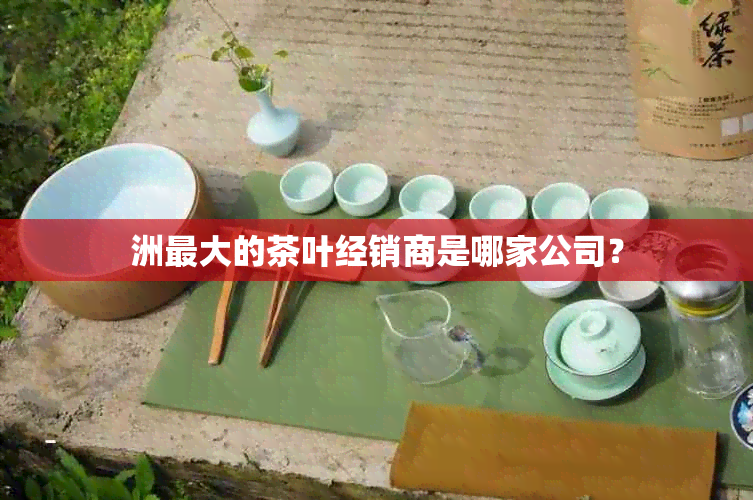 洲更大的茶叶经销商是哪家公司？