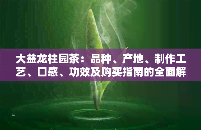 大益龙柱园茶：品种、产地、制作工艺、口感、功效及购买指南的全面解析