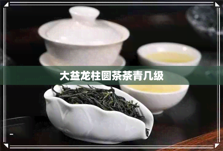 大益龙柱圆茶茶青几级