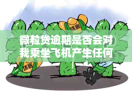 微粒贷逾期是否会对我乘坐飞机产生任何影响？还有哪些可能的后果？