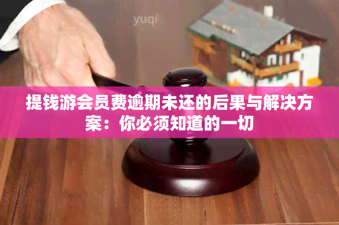 提钱游会员费逾期未还的后果与解决方案：你必须知道的一切