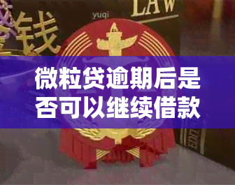 微粒贷逾期后是否可以继续借款？如何解决逾期问题并重新申请借款？