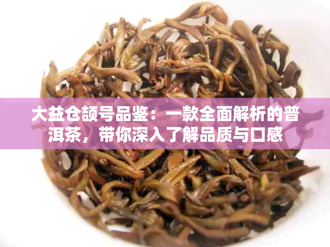 大益仓颉号品鉴：一款全面解析的普洱茶，带你深入了解品质与口感