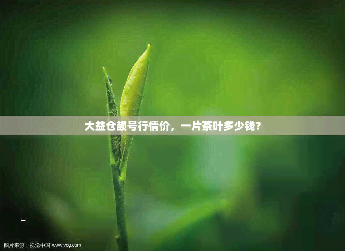 大益仓颉号行情价，一片茶叶多少钱？