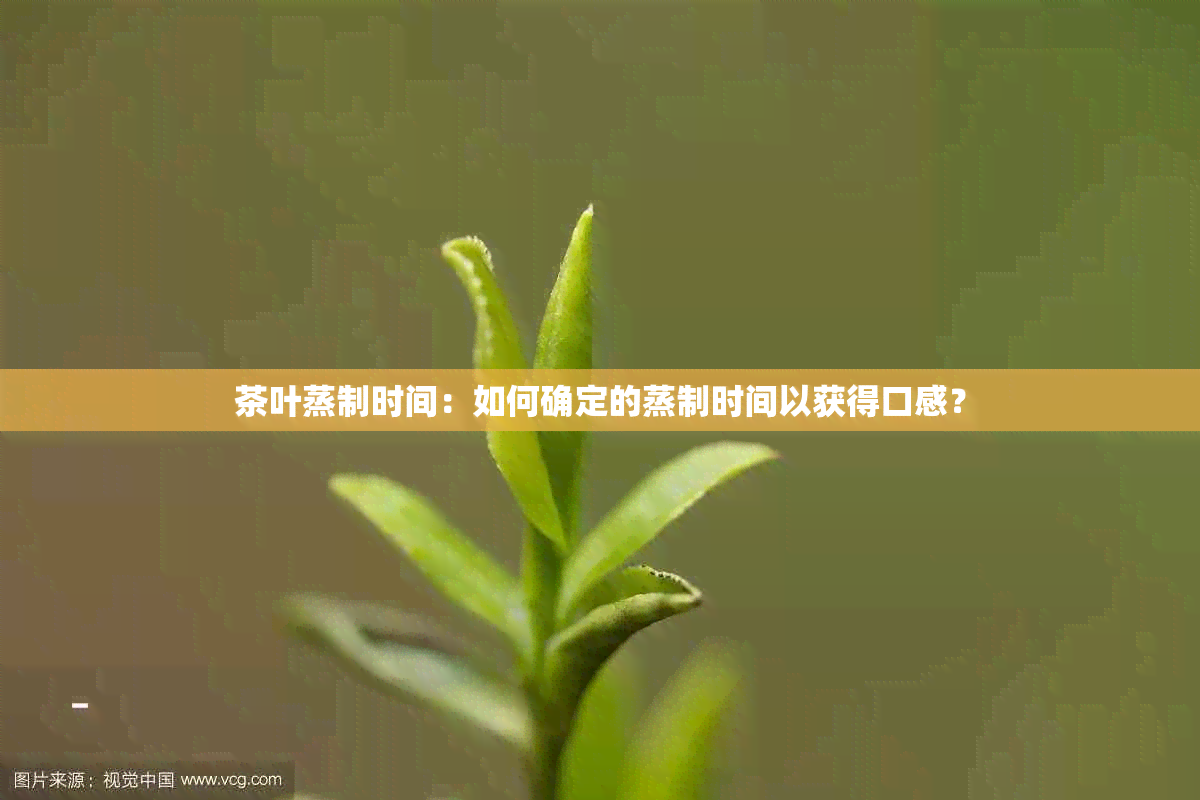 茶叶蒸制时间：如何确定的蒸制时间以获得口感？