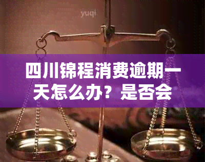 四川锦程消费逾期一天怎么办？是否会影响信用记录及解决方法全面解析