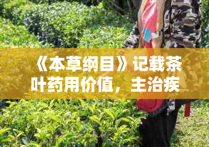 《本草纲目》记载茶叶用价值，主治疾病并揭示伤人风险