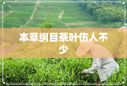 本草纲目茶叶伤人不少