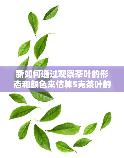 新如何通过观察茶叶的形态和颜色来估算5克茶叶的品质？