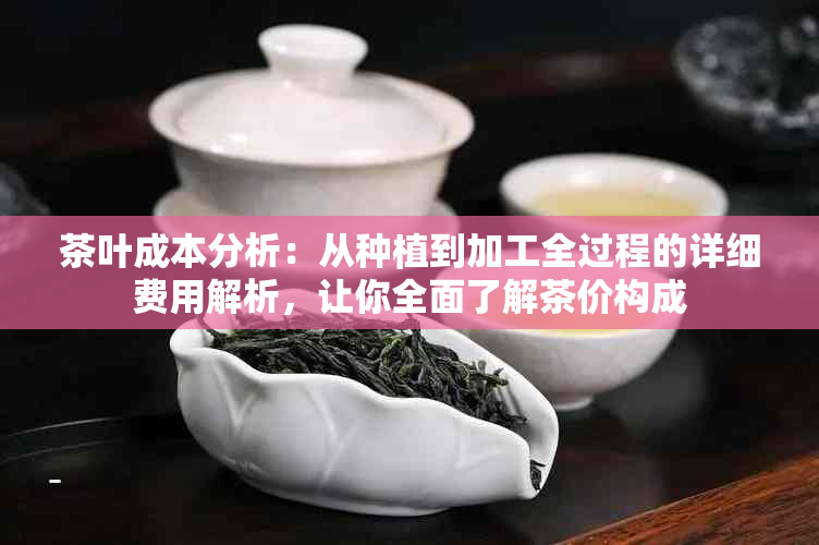 茶叶成本分析：从种植到加工全过程的详细费用解析，让你全面了解茶价构成