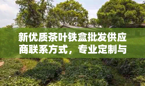 新优质茶叶铁盒批发供应商联系方式，专业定制与品质保证