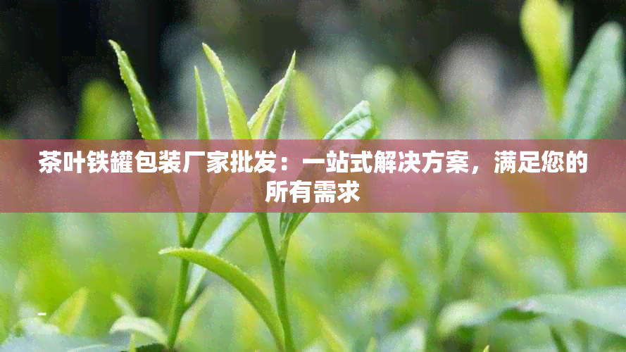 茶叶铁罐包装厂家批发：一站式解决方案，满足您的所有需求