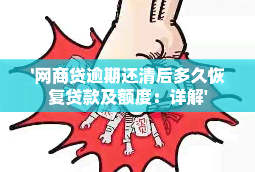 '网商贷逾期还清后多久恢复贷款及额度：详解'