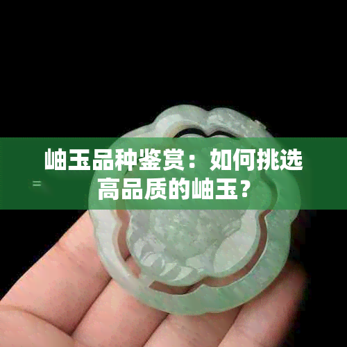 岫玉品种鉴赏：如何挑选高品质的岫玉？