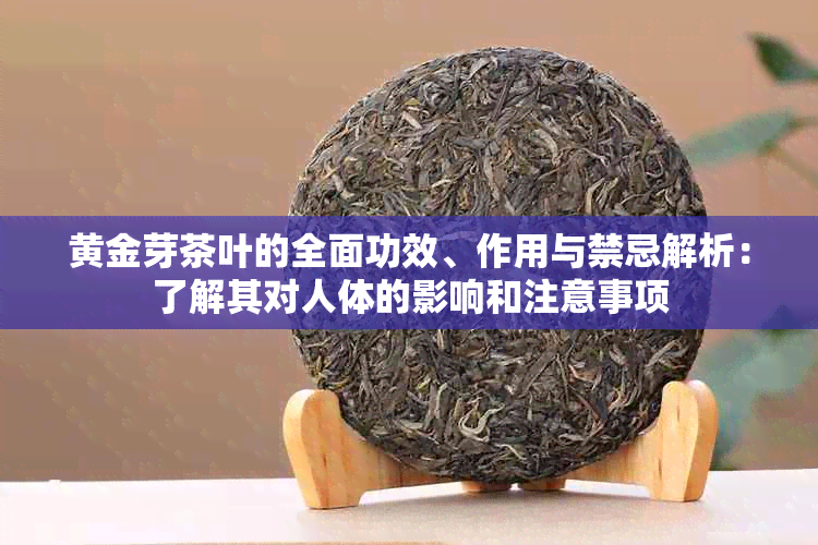 黄金芽茶叶的全面功效、作用与禁忌解析：了解其对人体的影响和注意事项