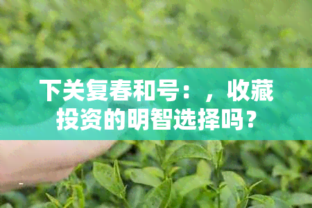 下关复春和号：，收藏投资的明智选择吗？