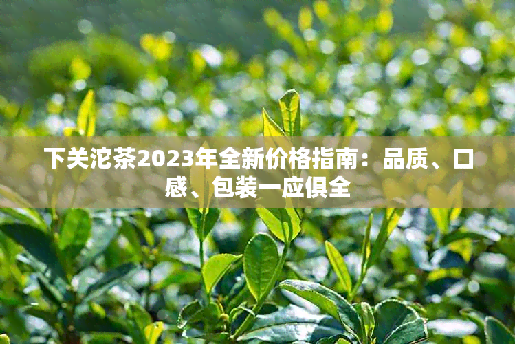 下关沱茶2023年全新价格指南：品质、口感、包装一应俱全