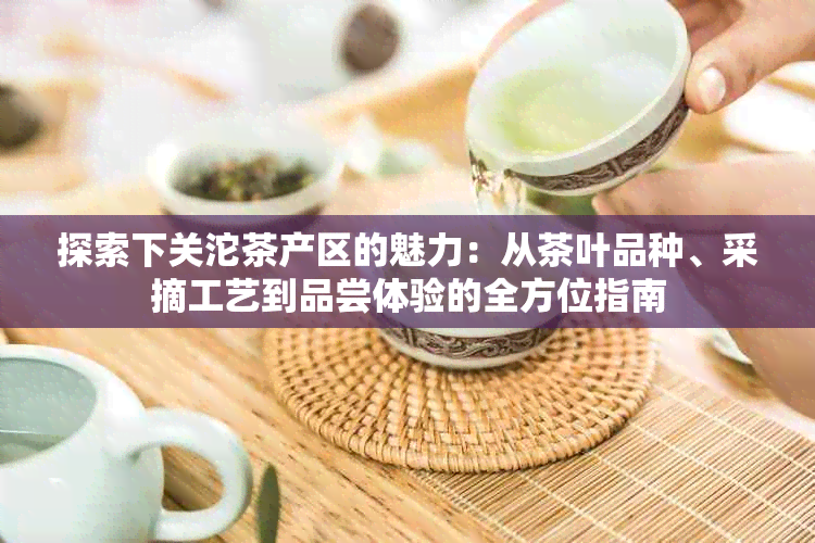 探索下关沱茶产区的魅力：从茶叶品种、采摘工艺到品尝体验的全方位指南