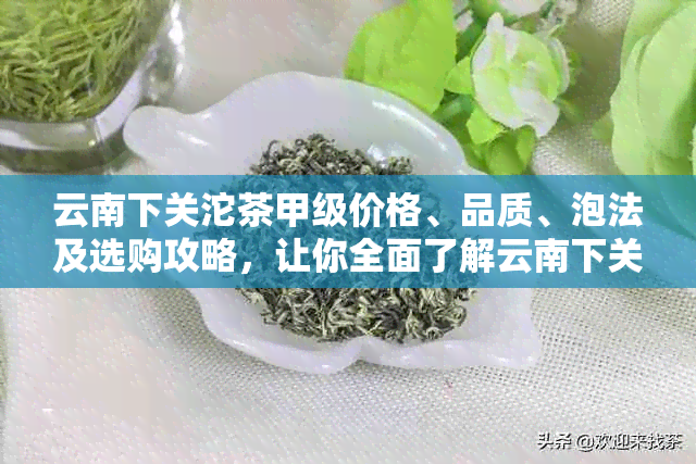 云南下关沱茶甲级价格、品质、泡法及选购攻略，让你全面了解云南下关沱茶！