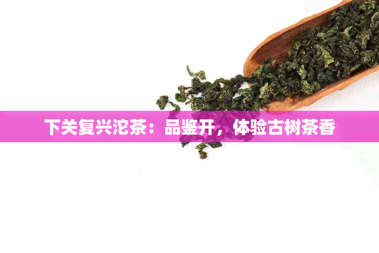 下关复兴沱茶：品鉴开，体验古树茶香